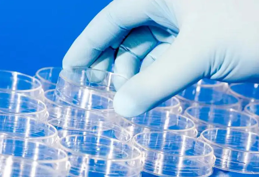 注塑模具首選鴻仁威爾 注塑模具首選鴻仁威爾